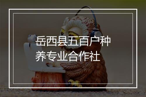 岳西县五百户种养专业合作社