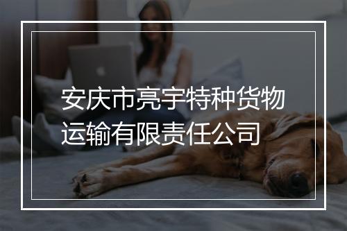 安庆市亮宇特种货物运输有限责任公司