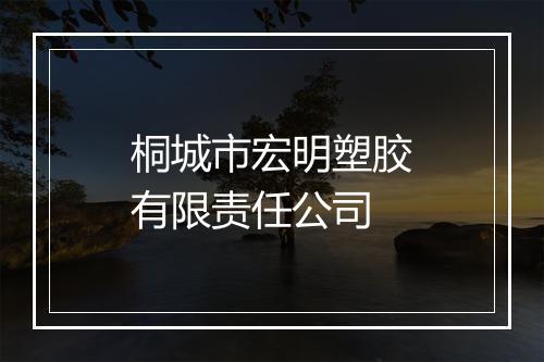 桐城市宏明塑胶有限责任公司