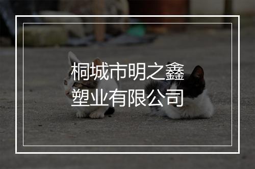 桐城市明之鑫塑业有限公司