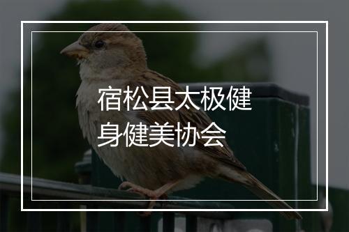 宿松县太极健身健美协会