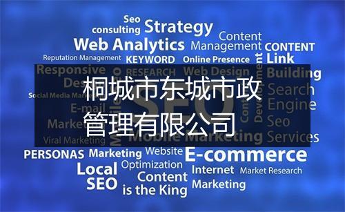 桐城市东城市政管理有限公司