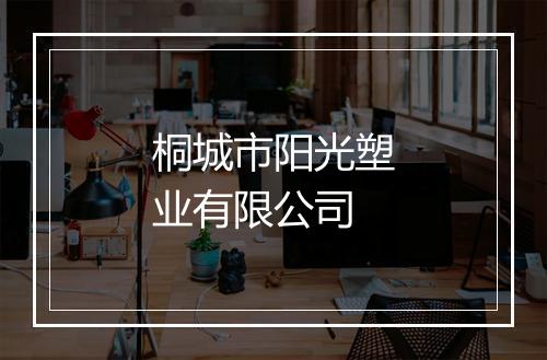 桐城市阳光塑业有限公司