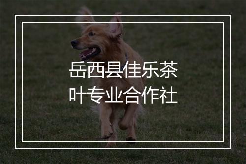 岳西县佳乐茶叶专业合作社