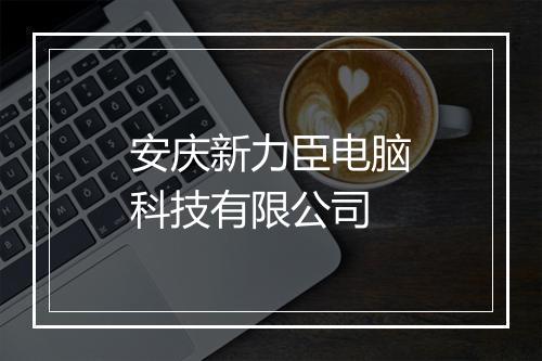 安庆新力臣电脑科技有限公司