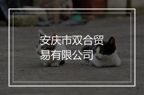 安庆市双合贸易有限公司