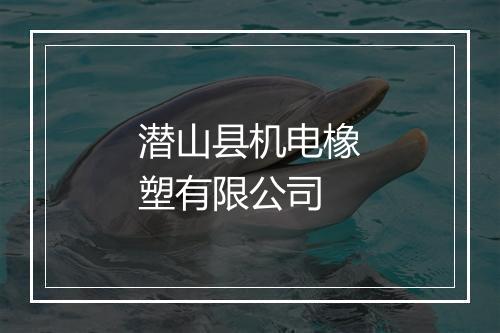 潜山县机电橡塑有限公司