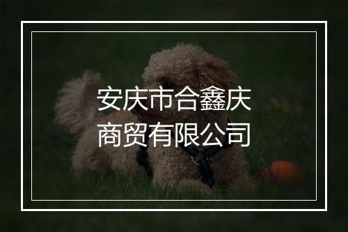 安庆市合鑫庆商贸有限公司