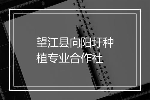 望江县向阳圩种植专业合作社