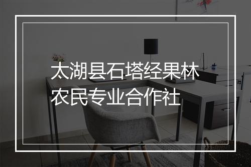 太湖县石塔经果林农民专业合作社