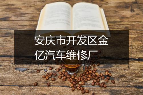 安庆市开发区金亿汽车维修厂