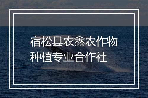 宿松县农鑫农作物种植专业合作社