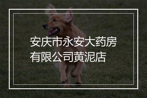安庆市永安大药房有限公司黄泥店