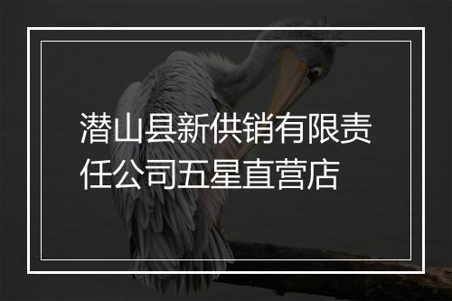 潜山县新供销有限责任公司五星直营店