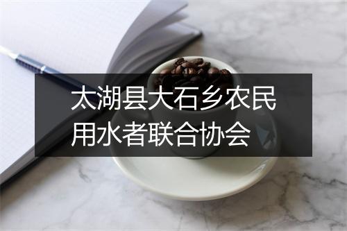 太湖县大石乡农民用水者联合协会