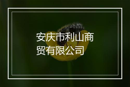 安庆市利山商贸有限公司