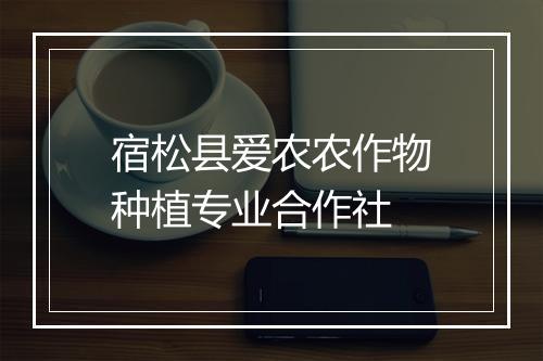 宿松县爱农农作物种植专业合作社