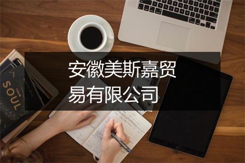 安徽美斯嘉贸易有限公司