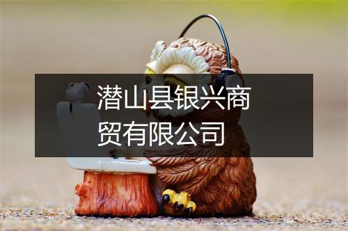 潜山县银兴商贸有限公司