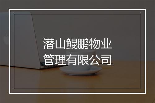 潜山鲲鹏物业管理有限公司