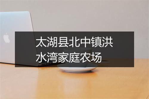 太湖县北中镇洪水湾家庭农场