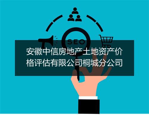 安徽中信房地产土地资产价格评估有限公司桐城分公司