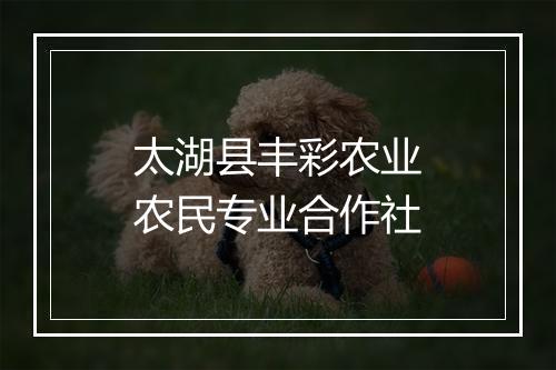 太湖县丰彩农业农民专业合作社
