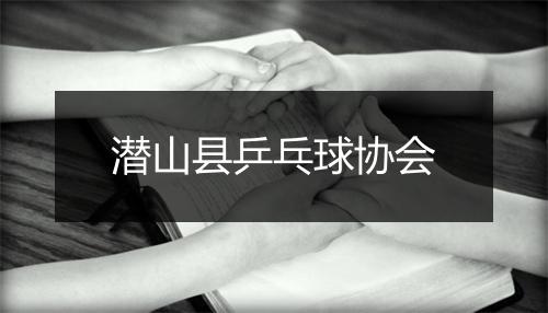 潜山县乒乓球协会