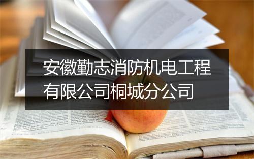安徽勤志消防机电工程有限公司桐城分公司