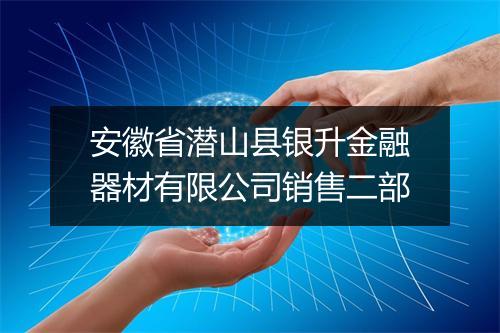 安徽省潜山县银升金融器材有限公司销售二部