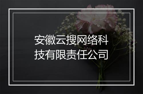 安徽云搜网络科技有限责任公司