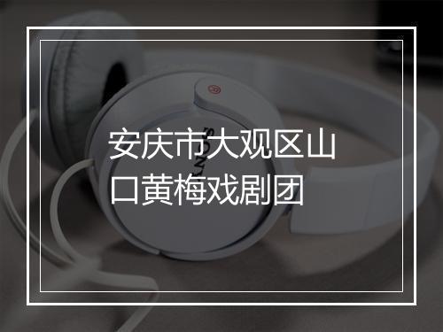 安庆市大观区山口黄梅戏剧团