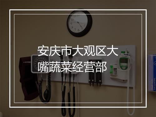 安庆市大观区大嘴蔬菜经营部