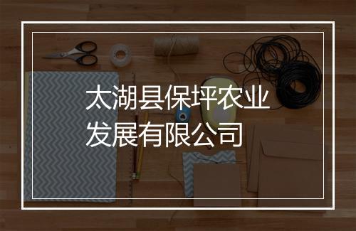 太湖县保坪农业发展有限公司
