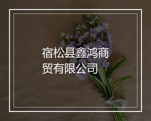 宿松县鑫鸿商贸有限公司