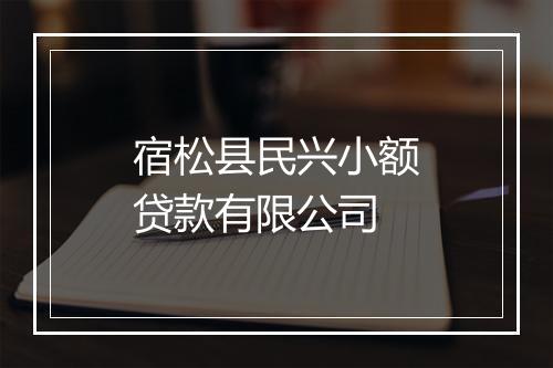 宿松县民兴小额贷款有限公司