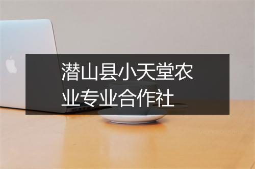 潜山县小天堂农业专业合作社