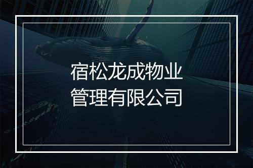 宿松龙成物业管理有限公司