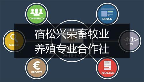 宿松兴荣畜牧业养殖专业合作社
