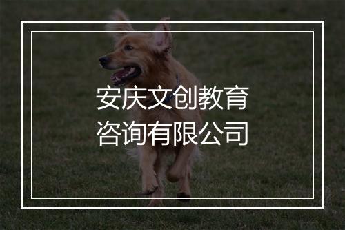 安庆文创教育咨询有限公司