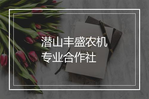 潜山丰盛农机专业合作社