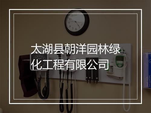 太湖县朝洋园林绿化工程有限公司
