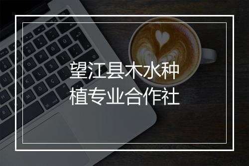 望江县木水种植专业合作社