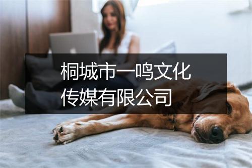 桐城市一鸣文化传媒有限公司