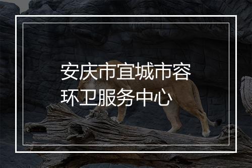 安庆市宜城市容环卫服务中心