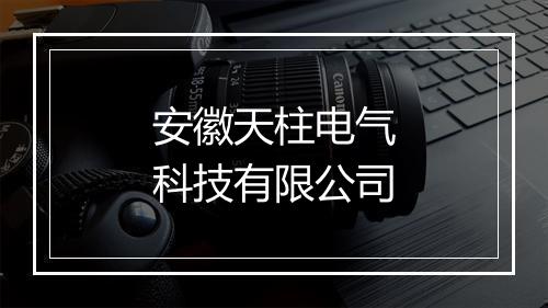 安徽天柱电气科技有限公司