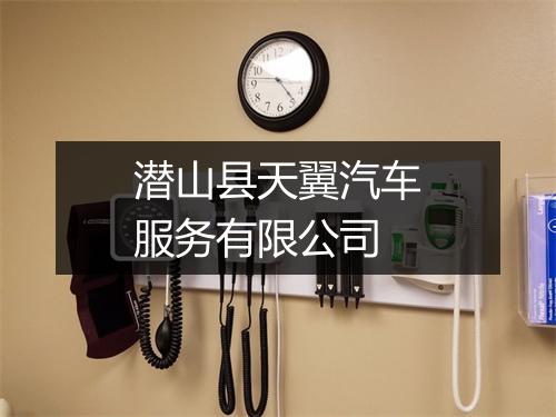 潜山县天翼汽车服务有限公司