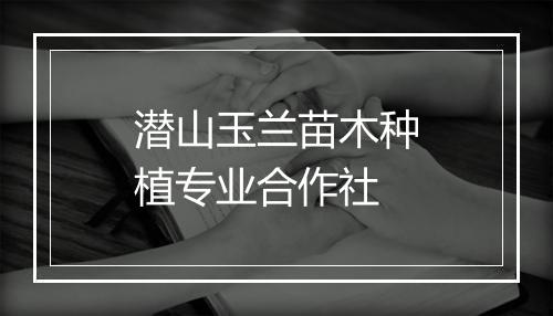 潜山玉兰苗木种植专业合作社
