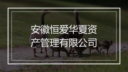 安徽恒爱华夏资产管理有限公司