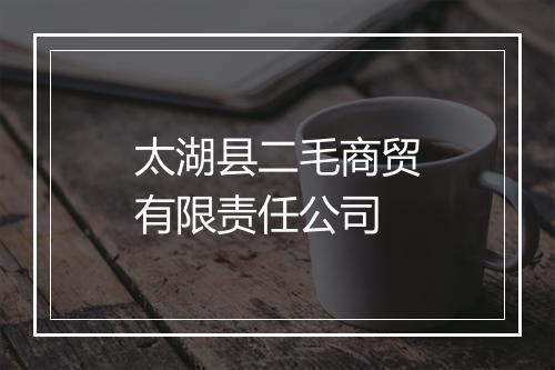 太湖县二毛商贸有限责任公司